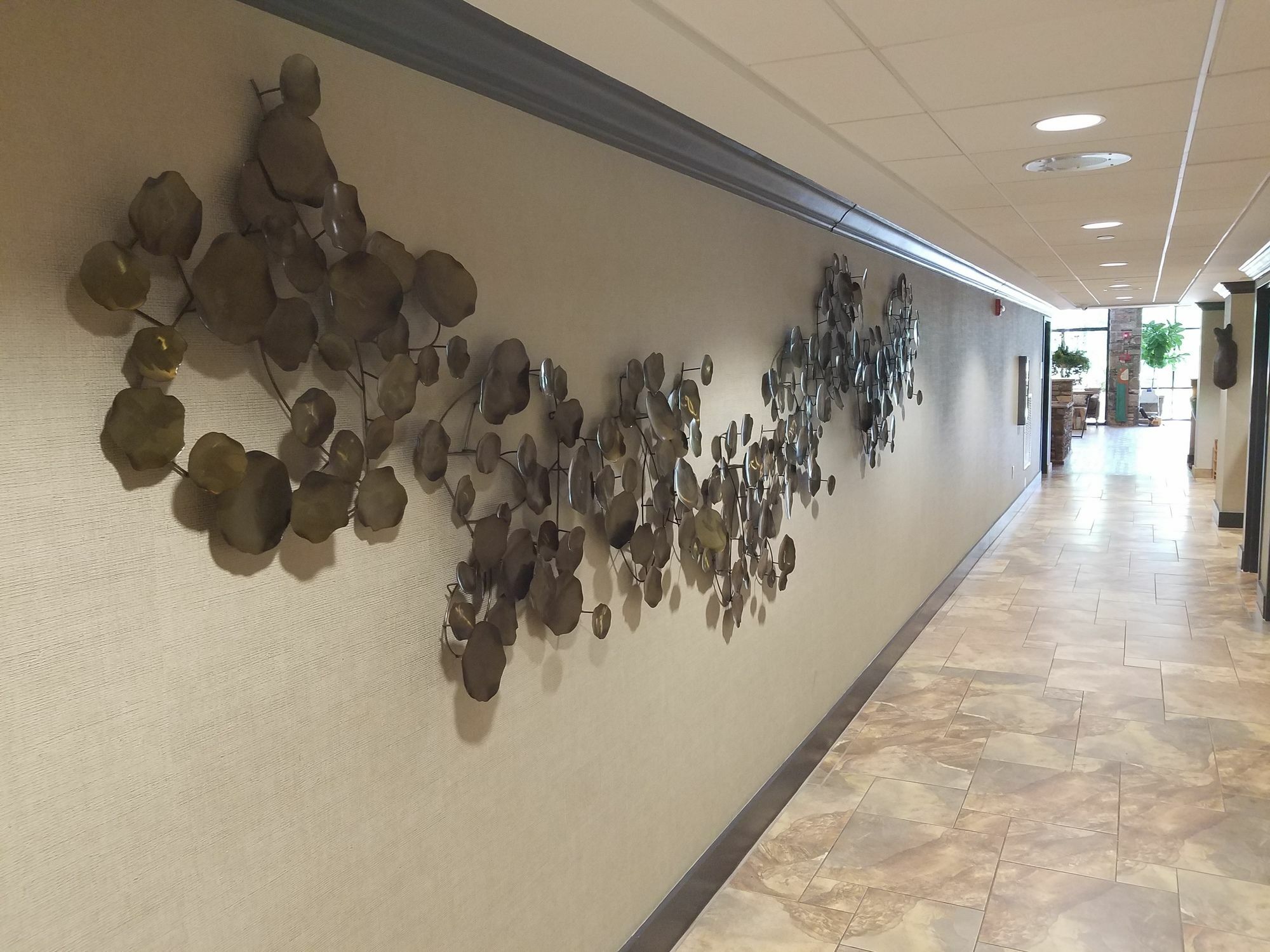 Holiday Inn Asheville East-Blue Ridge Pkwy By Ihg Екстериор снимка