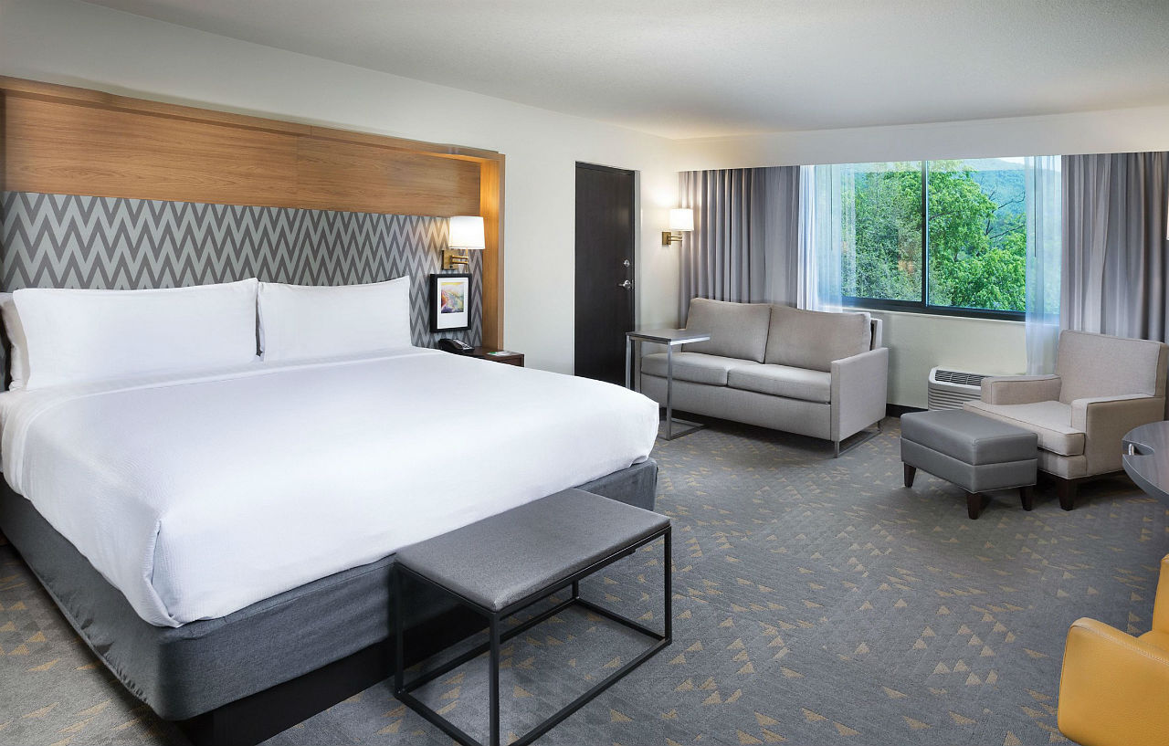 Holiday Inn Asheville East-Blue Ridge Pkwy By Ihg Екстериор снимка